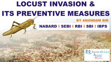 Essay on Locust Invasion in India